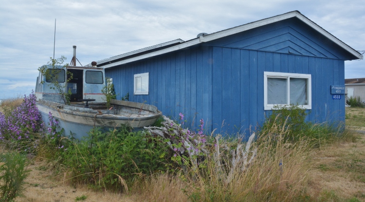 boat and house in pasture
